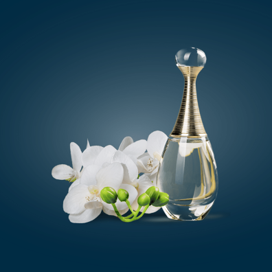 Flavors & Fragrances